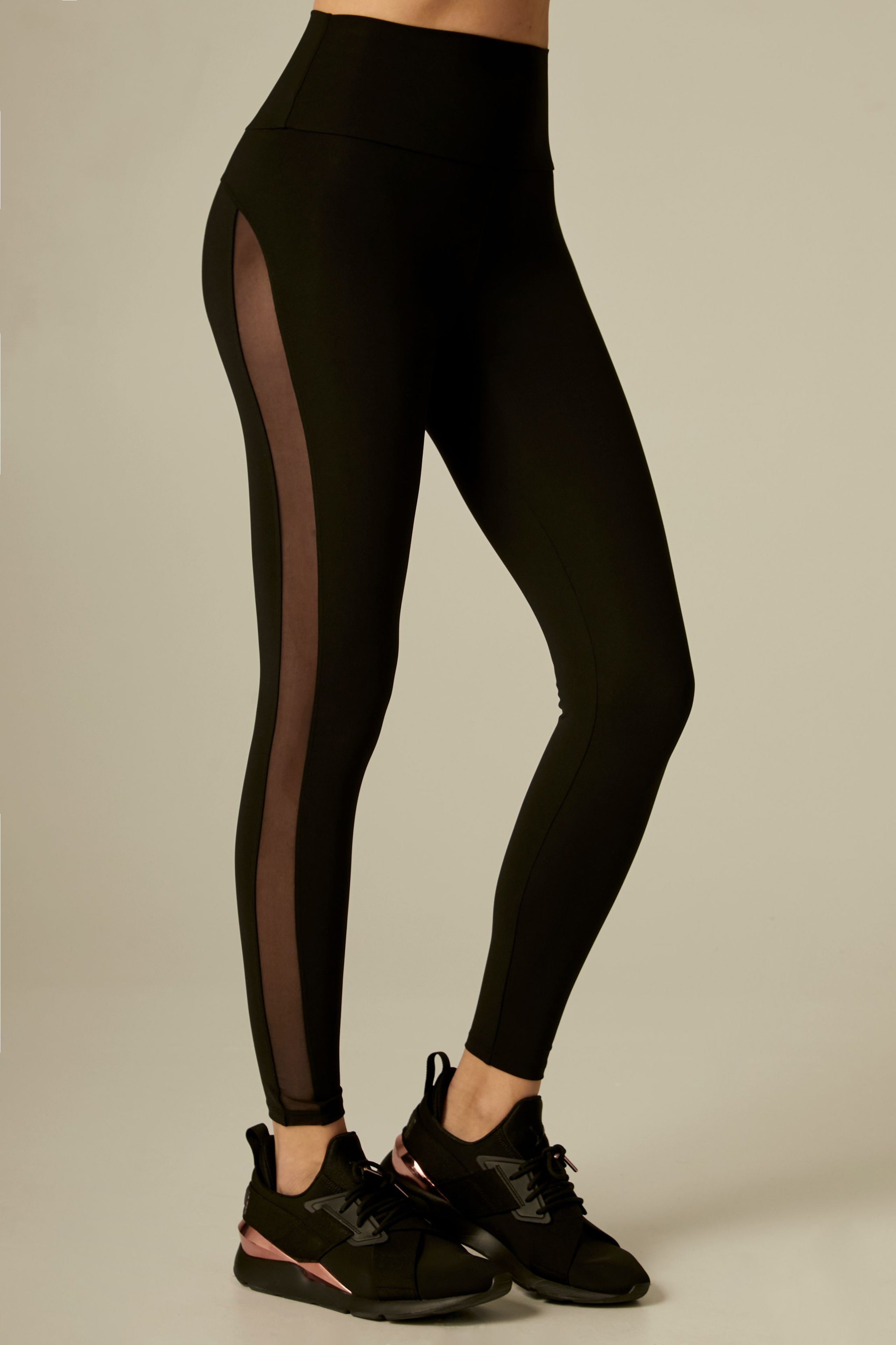 Mesh Panel Gym Leggings  International Society of Precision Agriculture